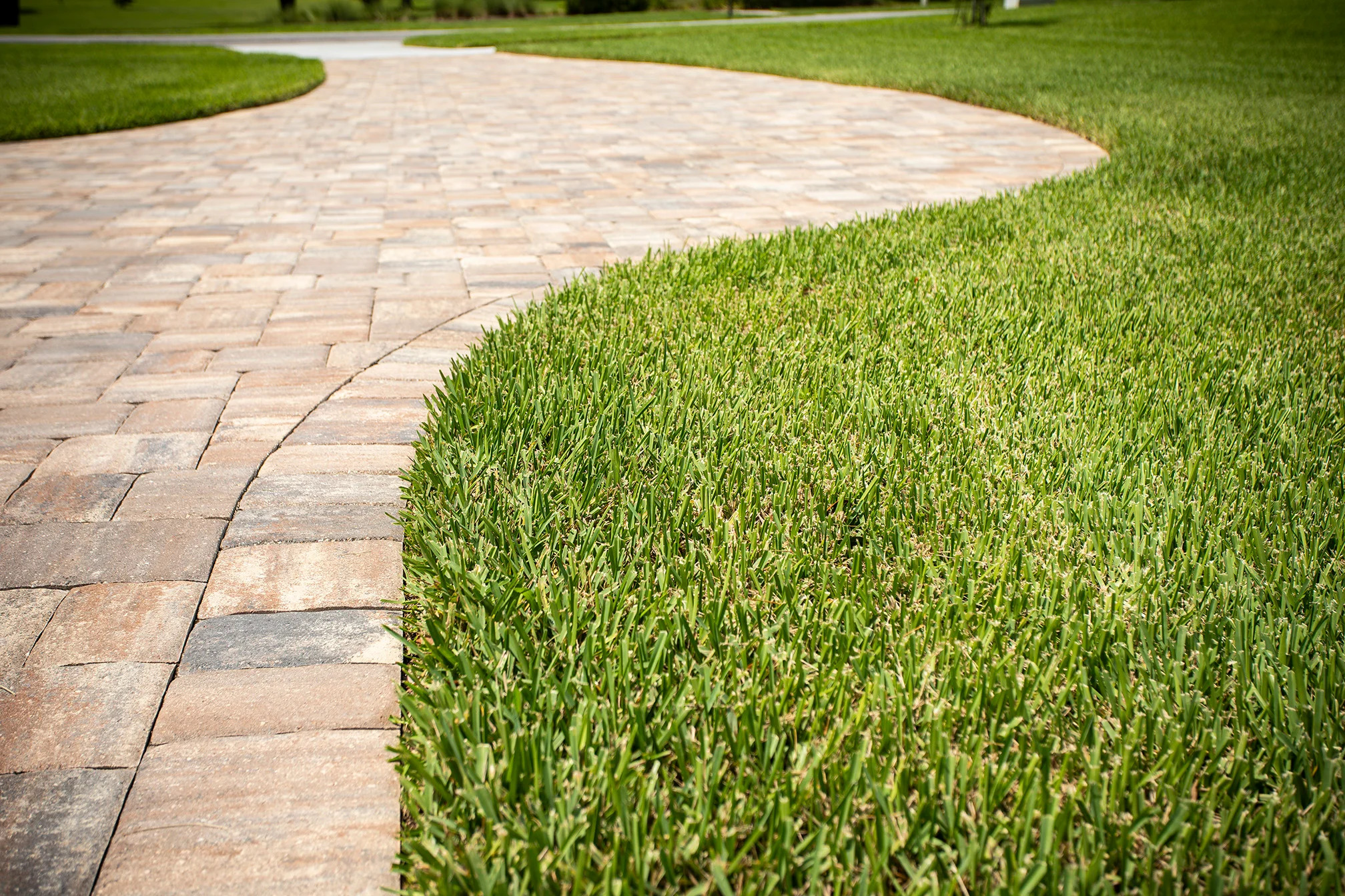 paver_walkway_installer_elgin_illinois.jpg